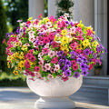 Upgraded High-grade  Material  Rainproof Lifelike Artificial Flowers With UV-Shield Coating