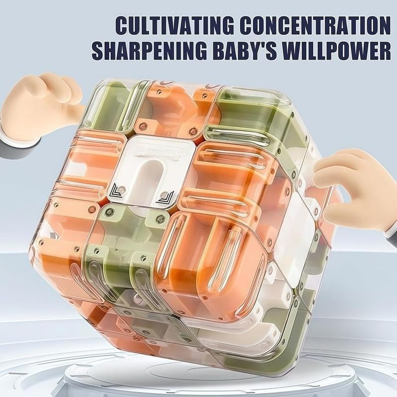 Brain Maze Cube